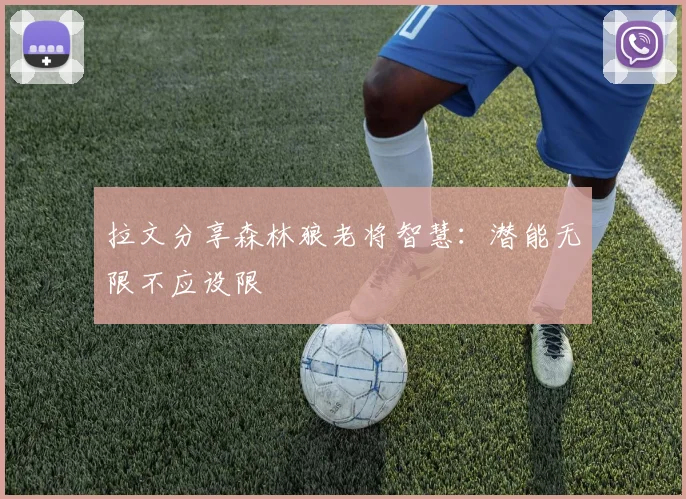 拉文分享森林狼老将智慧:潜能无限不应设限