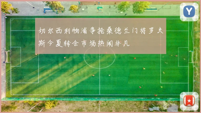 切尔西利物浦争抢桑德兰门将罗夫斯今夏转会市场热闹非凡